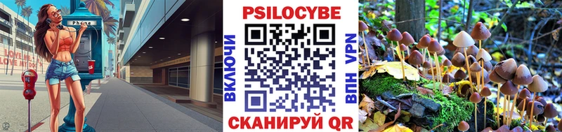 shop формула  даркнет сайт  Судогда  Псилоцибиновые грибы мухоморы 